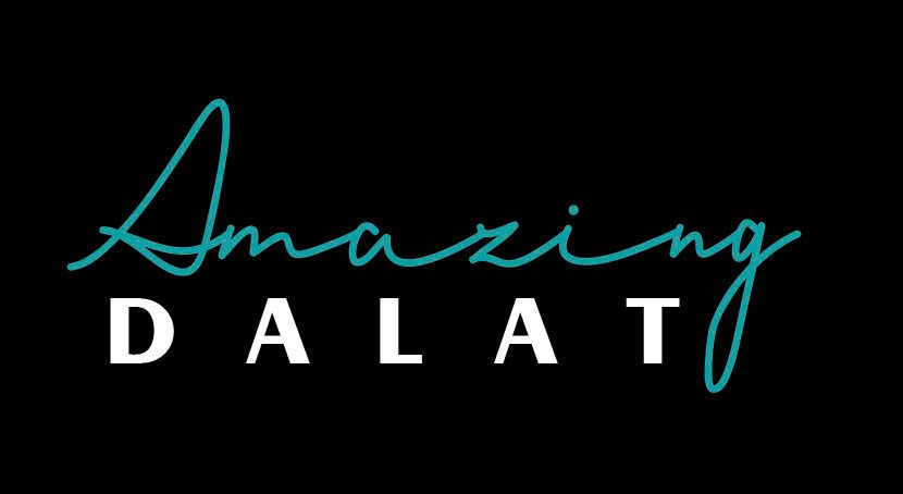 DALAT AI SOLUTION TRADING INVESTMENT COMPANY LIMITED