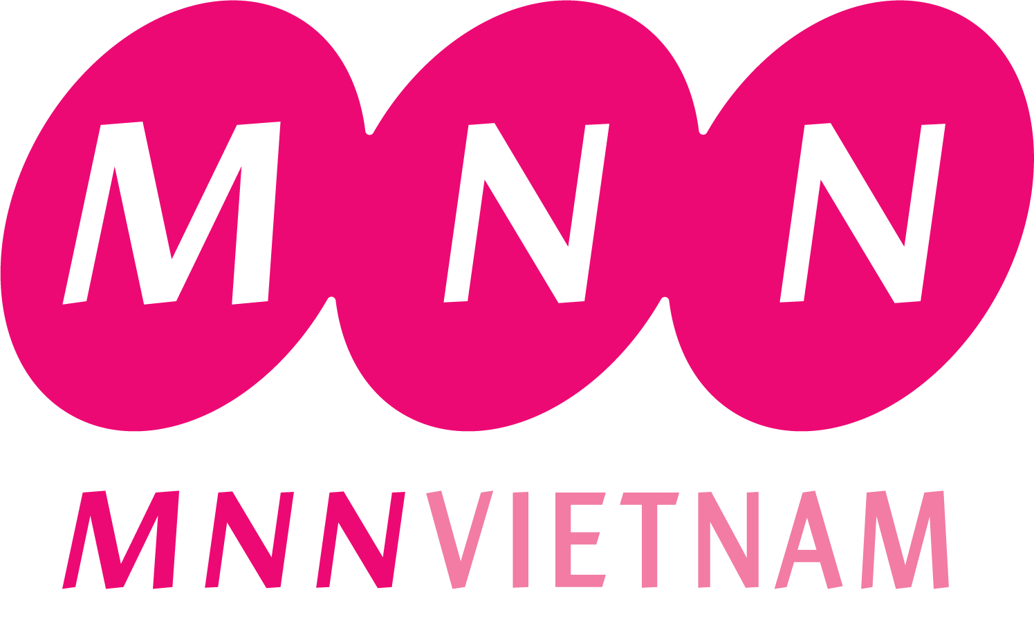 CÔNG TY TNHH THƯƠNG MẠI MNN VIỆT NAM