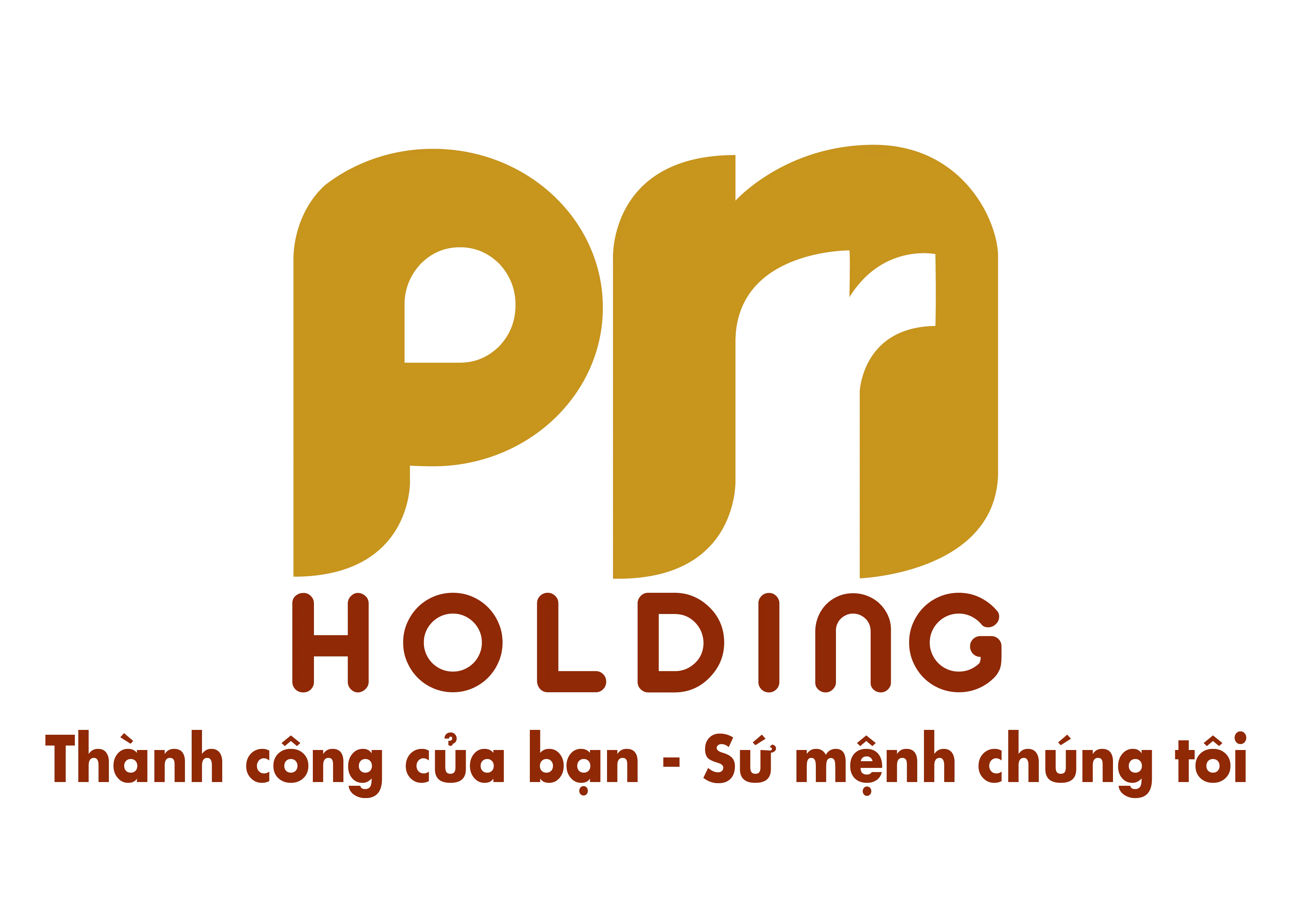 CÔNG TY CỔ PHẦN TẬP ĐOÀN PNHOLDING