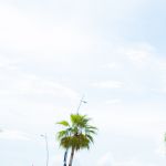 Hộ kinh doanh NGUYỄN THỊ THANH