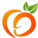 Hoa Quả Ưu Đàm