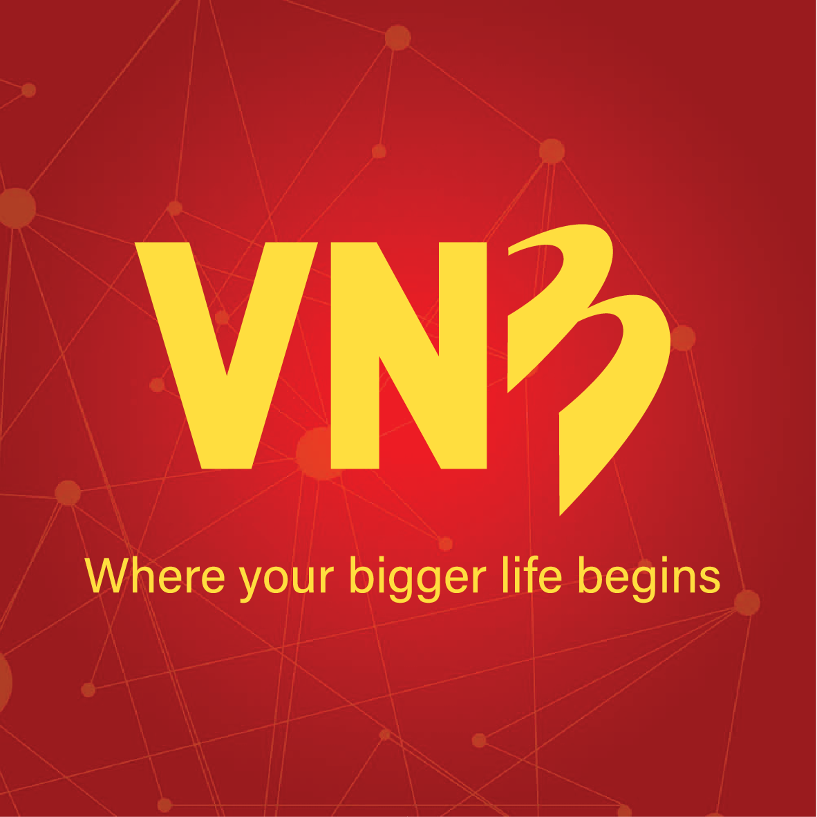 CÔNG TY TNHH VNB GLOBAL