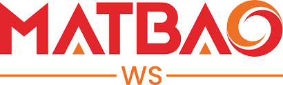 CÔNG TY CỔ PHẦN MẮT BÃO WS