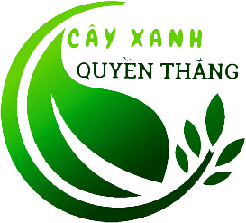 CÔNG TY CỔ PHẦN KIẾN TRÚC VÀ CẢNH QUAN CÂY XANH QUYỀN THẮNG