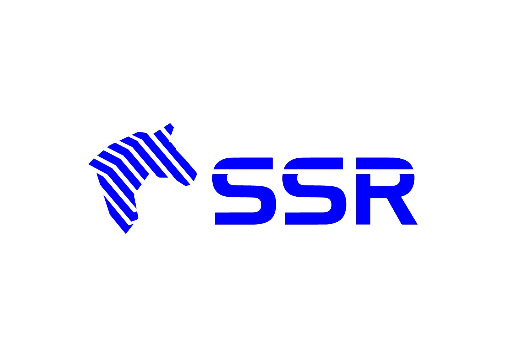 CÔNG TY TNHH SSR VINA