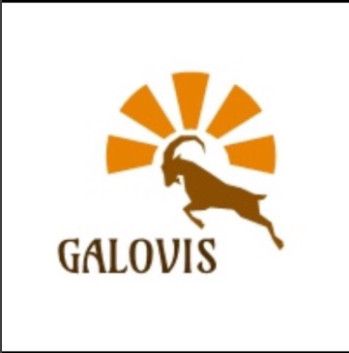 CÔNG TY CỔ PHẦN GALOVIS QUỐC TẾ