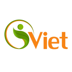 iViet Solution