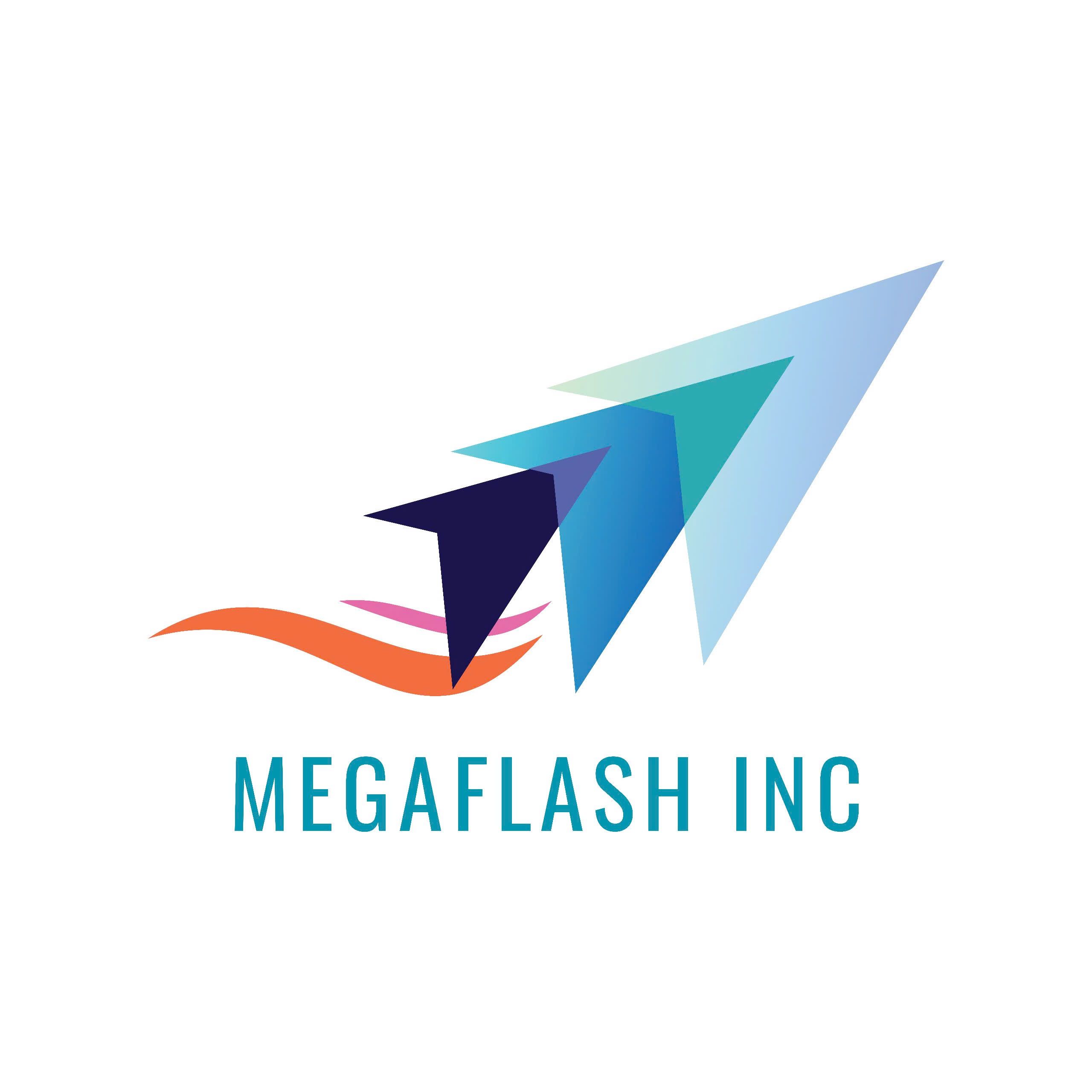 CHI NHÁNH CÔNG TY TNHH MEGAFLASH INC TẠI HÀ NỘI