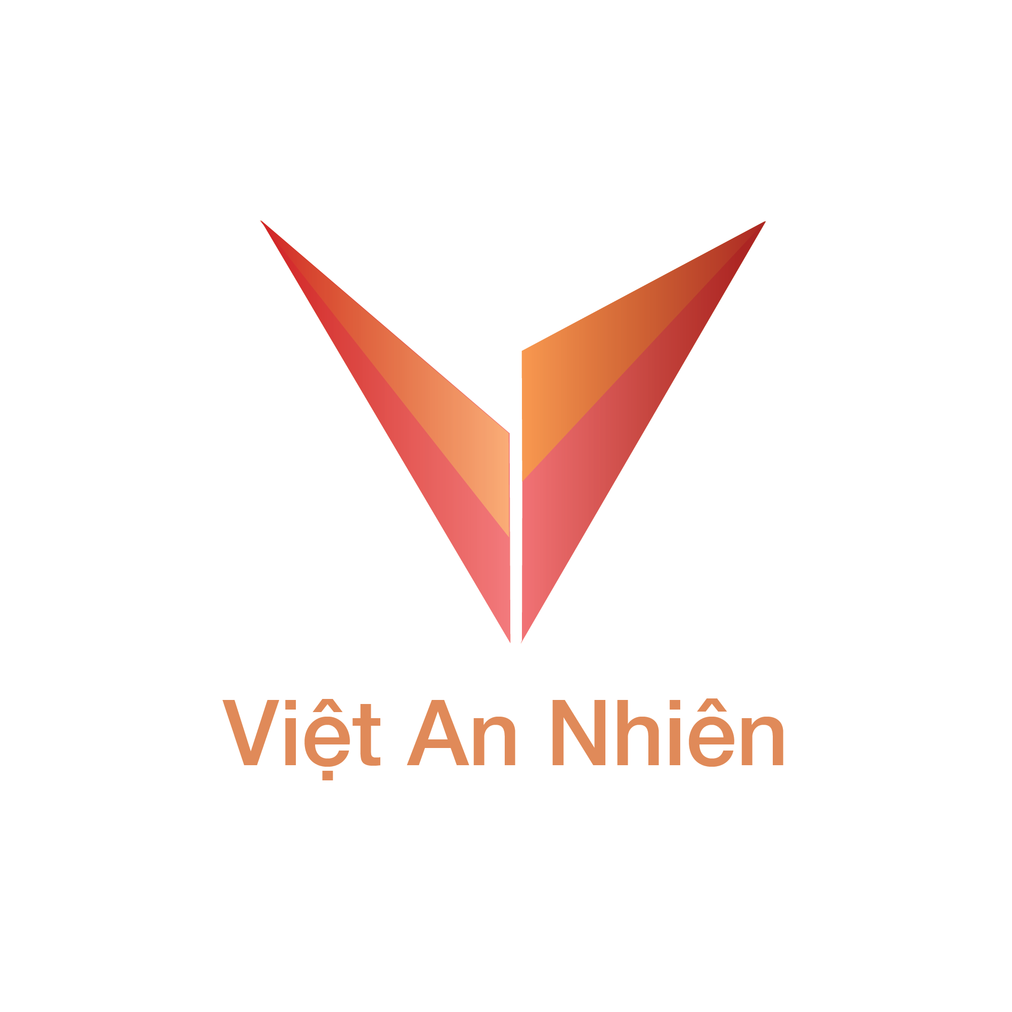 CÔNG TY TNHH THƯƠNG MẠI VIỆT AN NHIÊN