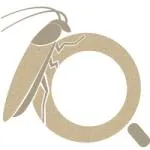 Jobzrefer