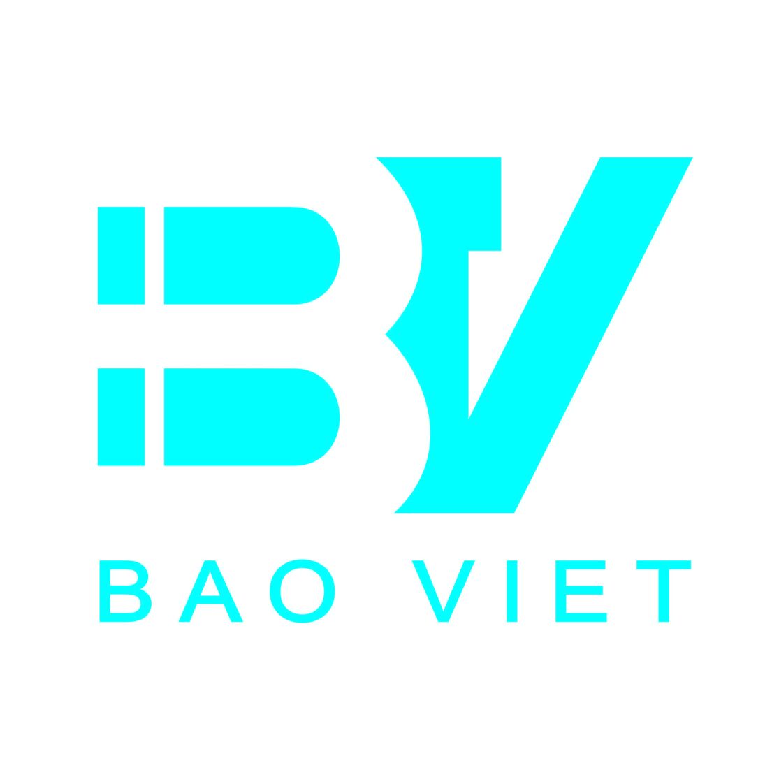 CÔNG TY CỔ PHẦN ĐẦU TƯ SẢN XUẤT THƯƠNG MẠI DỊCH VỤ BẢO VIỆT