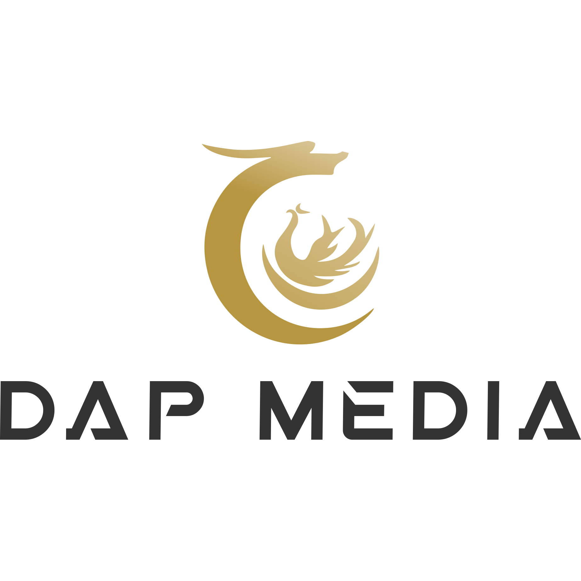 CÔNG TY TNHH DAP MEDIA
