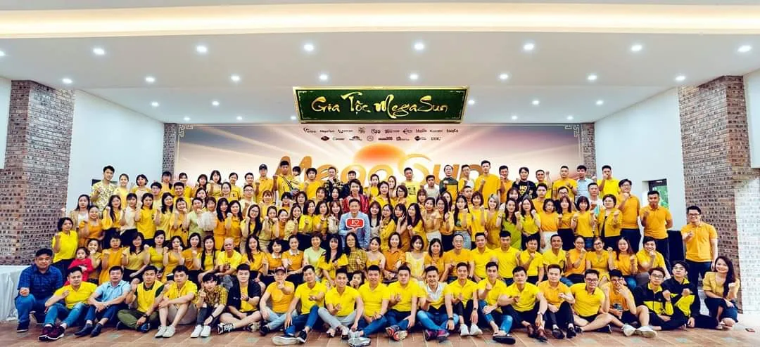 Công ty Cổ phần Xuất nhập khẩu Việt Liên Kết