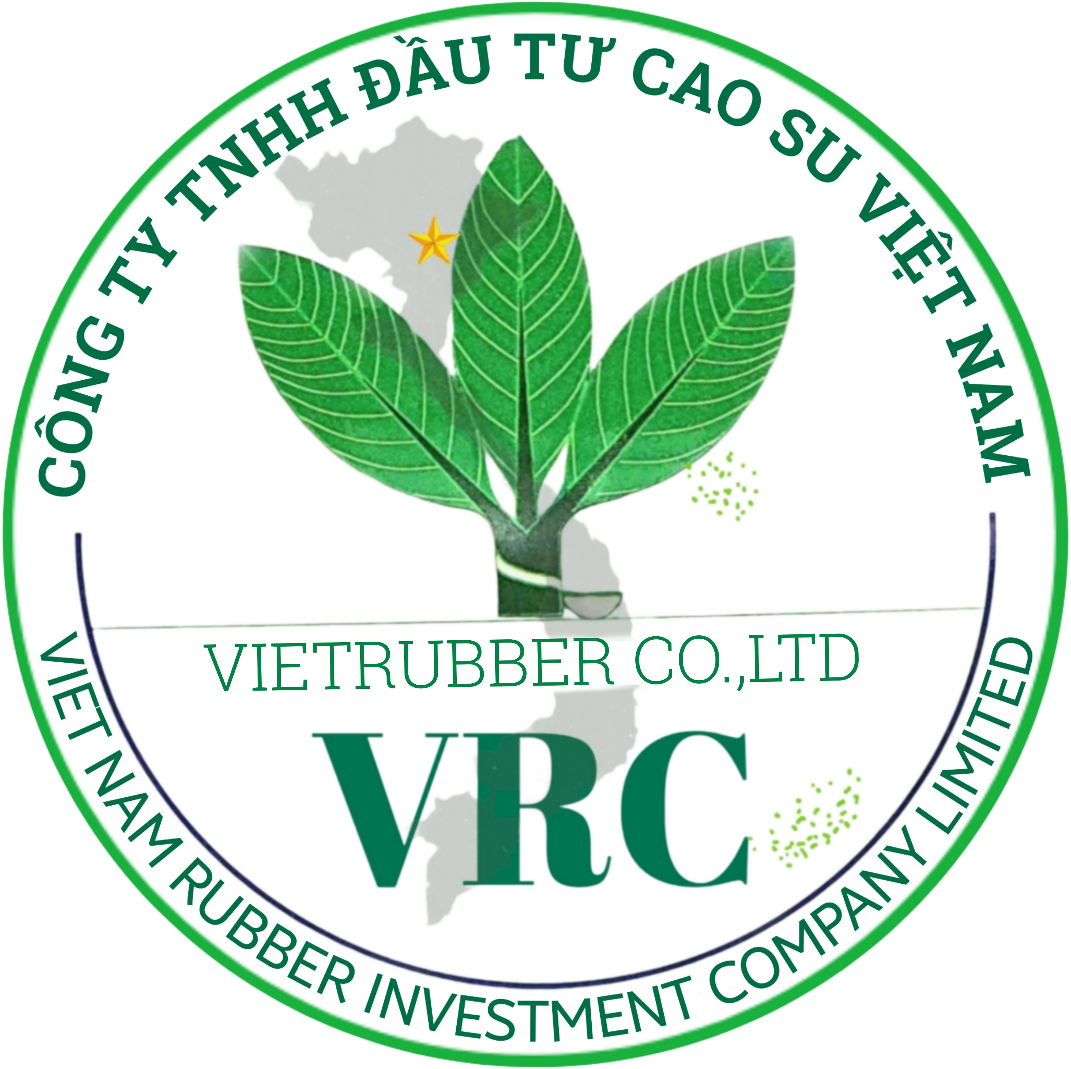 CÔNG TY CỔ PHẦN ĐẦU TƯ CAO SU VIỆT NAM