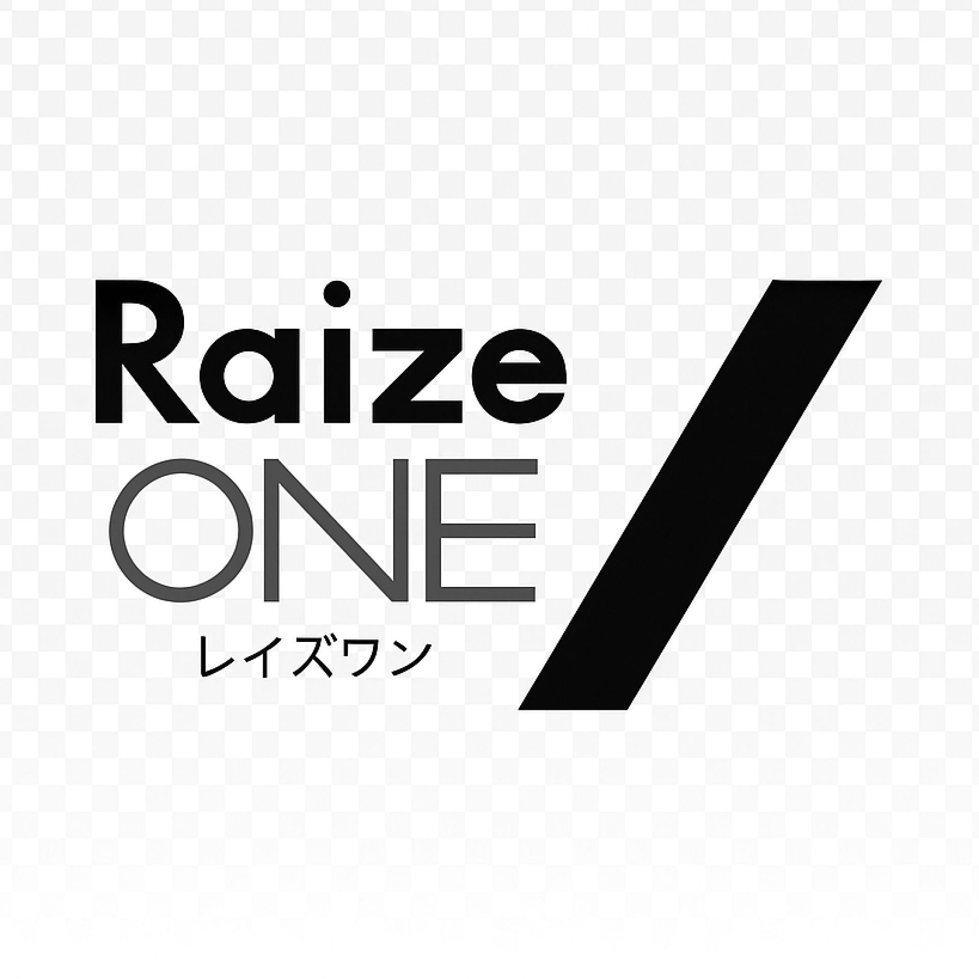 CÔNG TY TNHH RAIZE ONE
