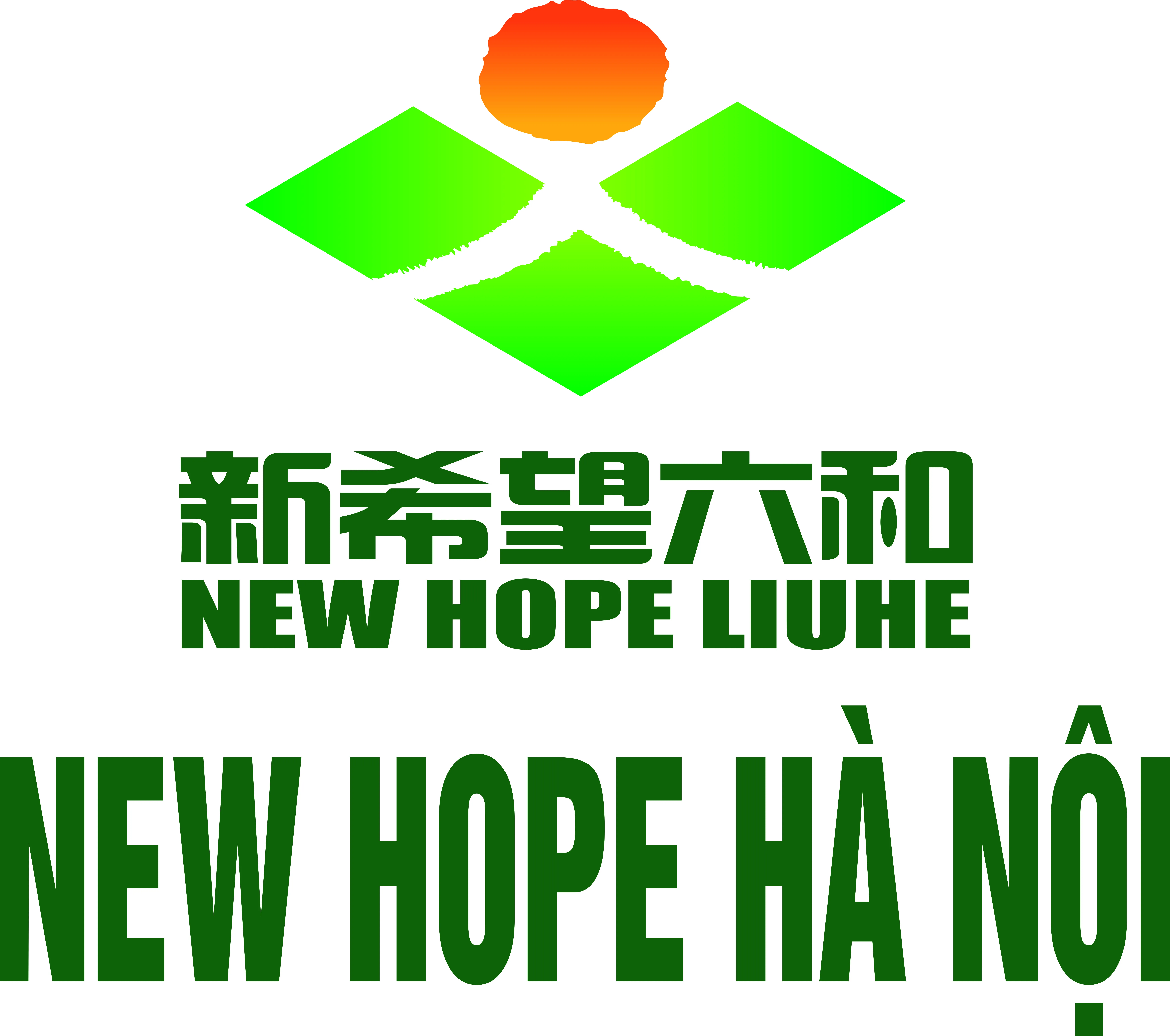 CÔNG TY TRÁCH NHIỆM HỮU HẠN NEW HOPE HÀ NỘI