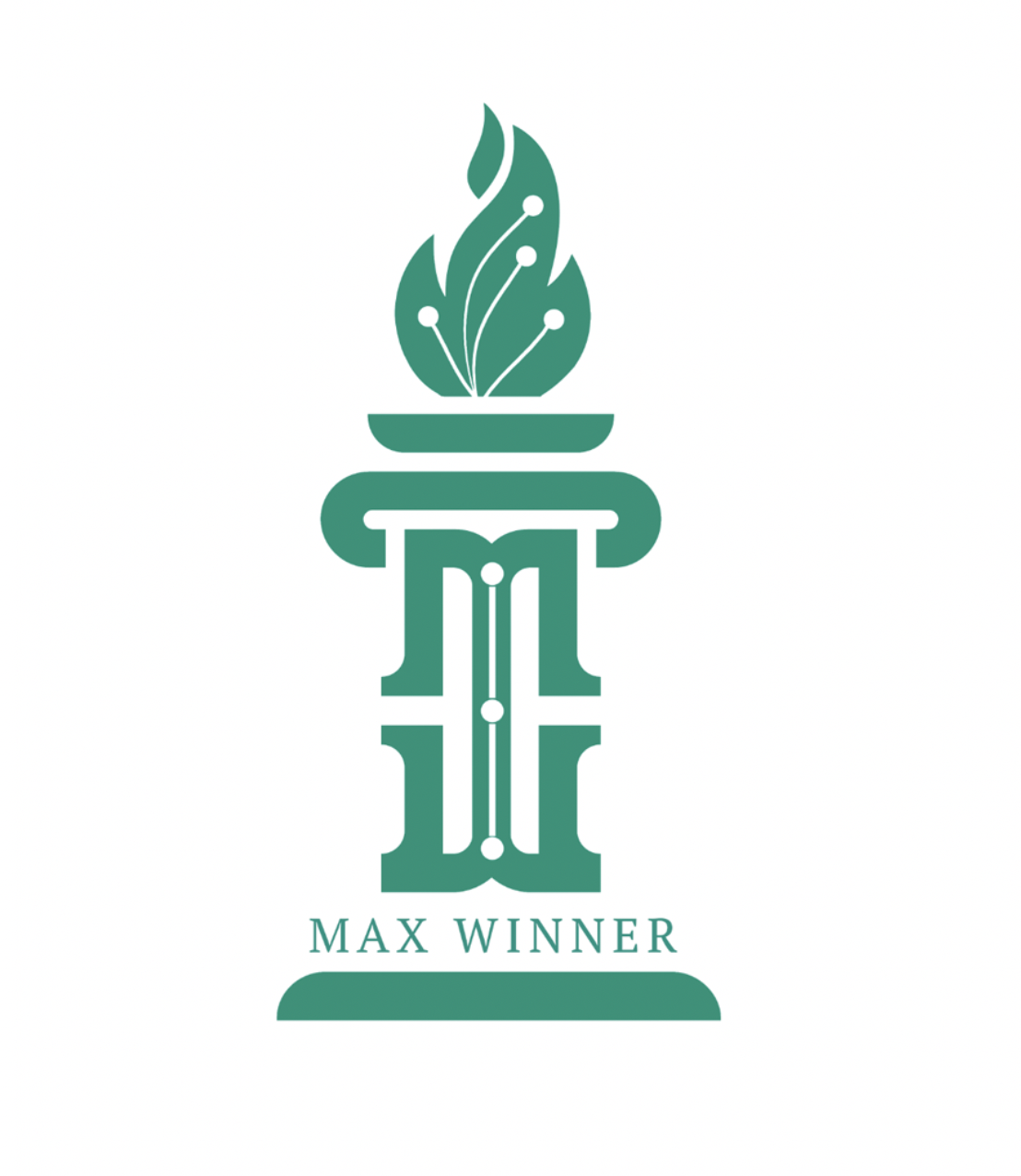 CÔNG TY CỔ PHẦN MAX WINNER