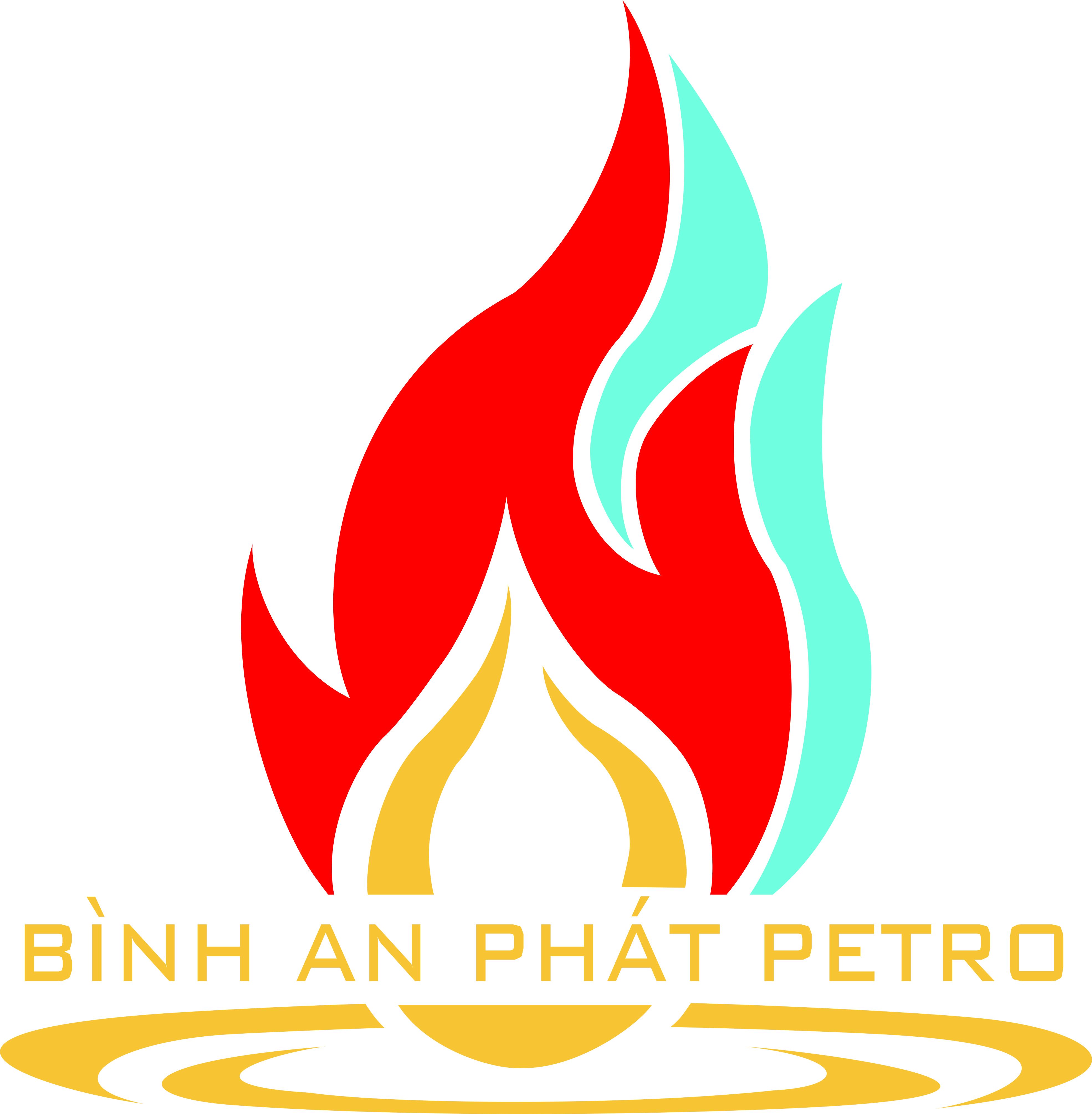 CÔNG TY CỔ PHẦN BÌNH AN PHÁT PETRO