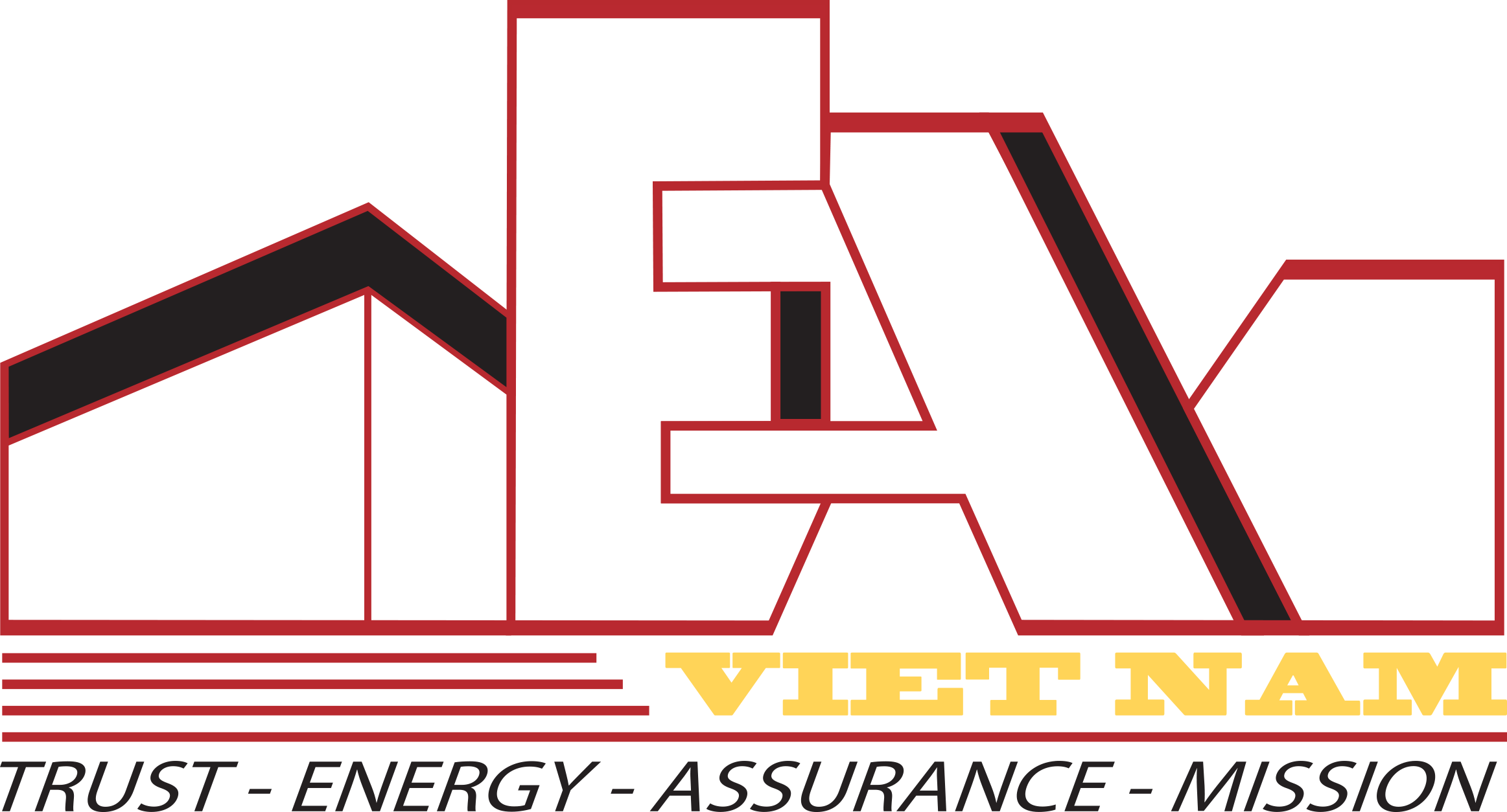 CÔNG TY CỔ PHẦN TEAM VIỆT NAM