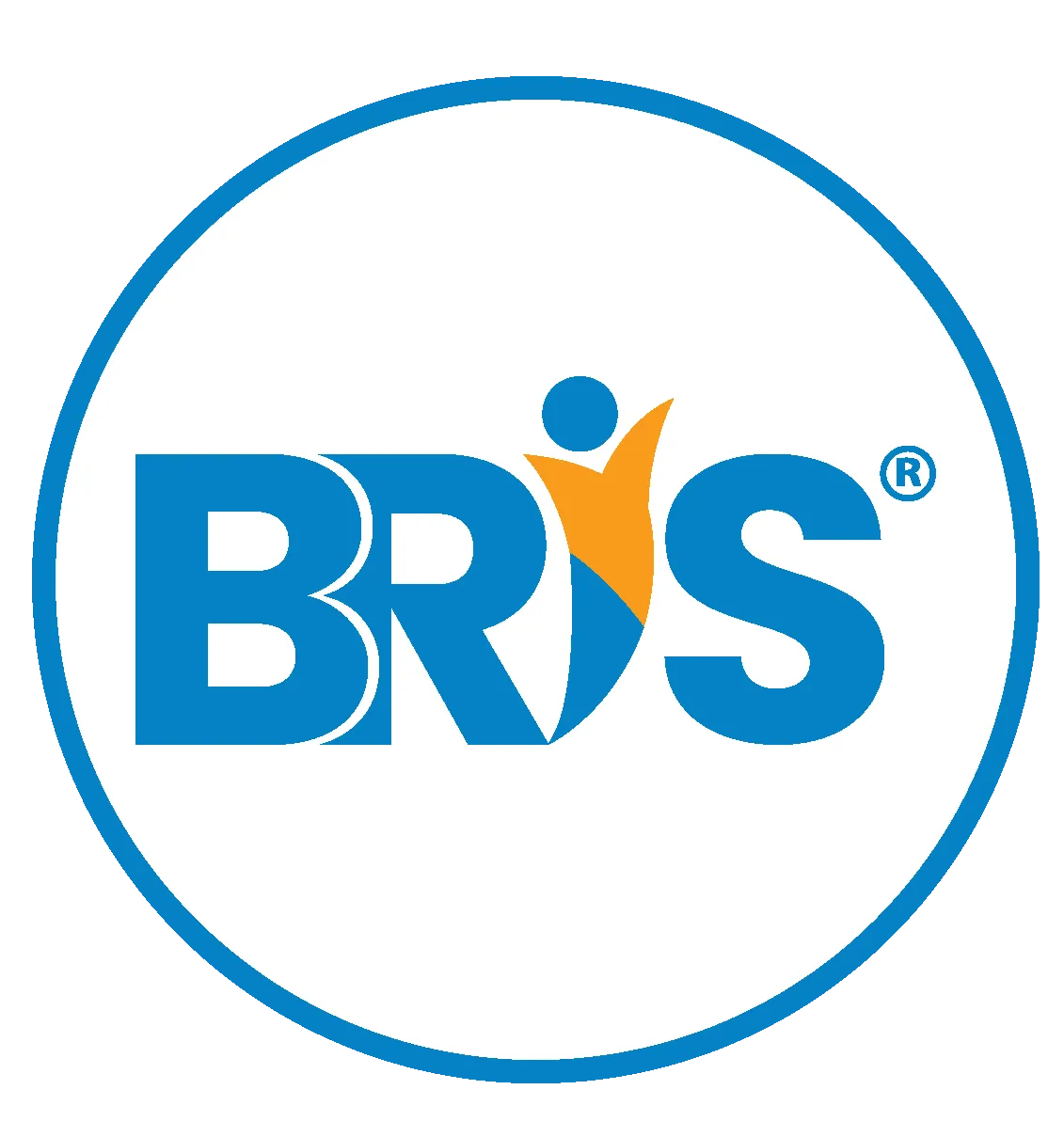 BLUE RIDGE INTERNATIONAL SCHOOL