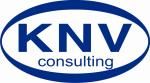 Ky Nguyen Vang Consultant