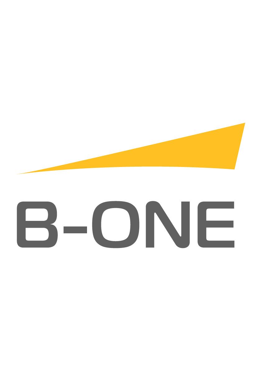 Công ty TNHH Business One