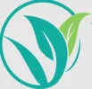 Công ty CP Quốc tế Cuộc sống Việt
