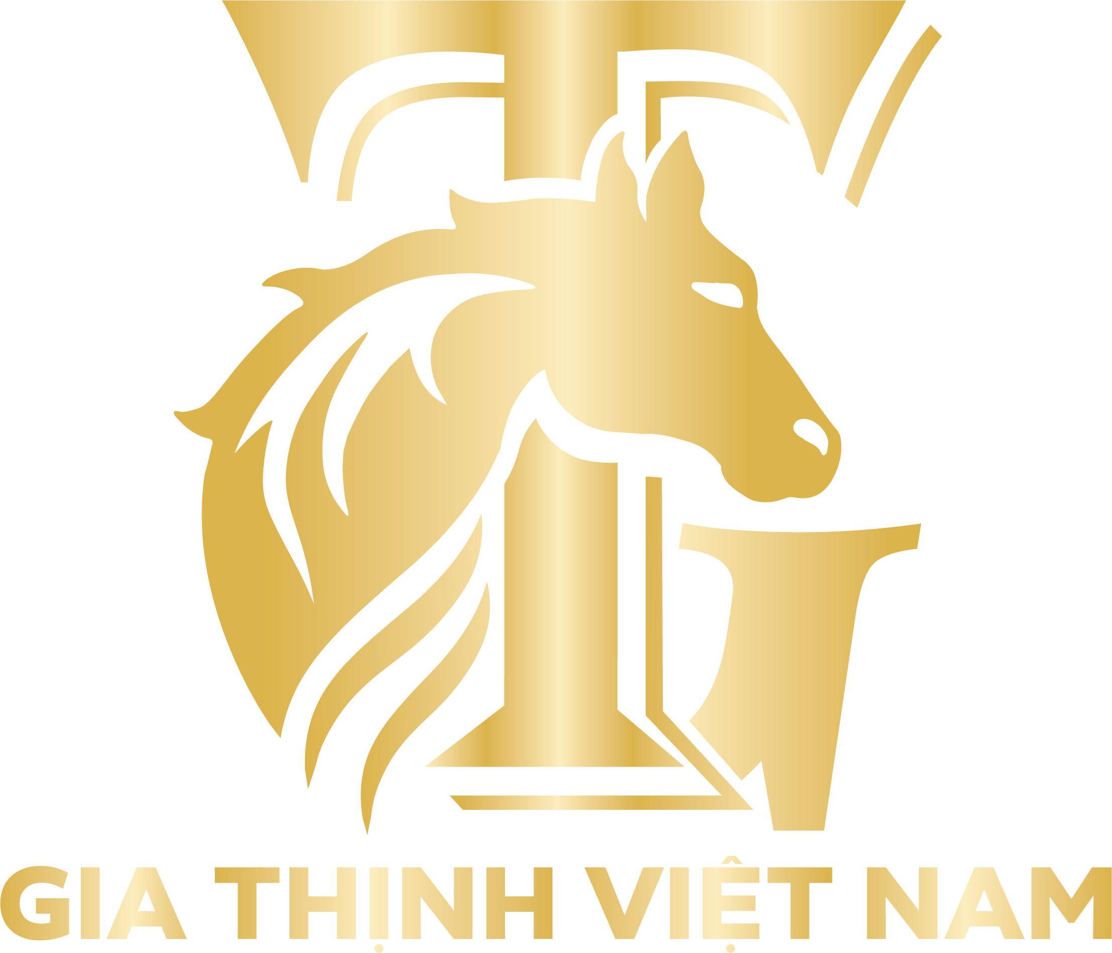 CÔNG TY TNHH THƯƠNG MẠI GIA THỊNH VIỆT NAM
