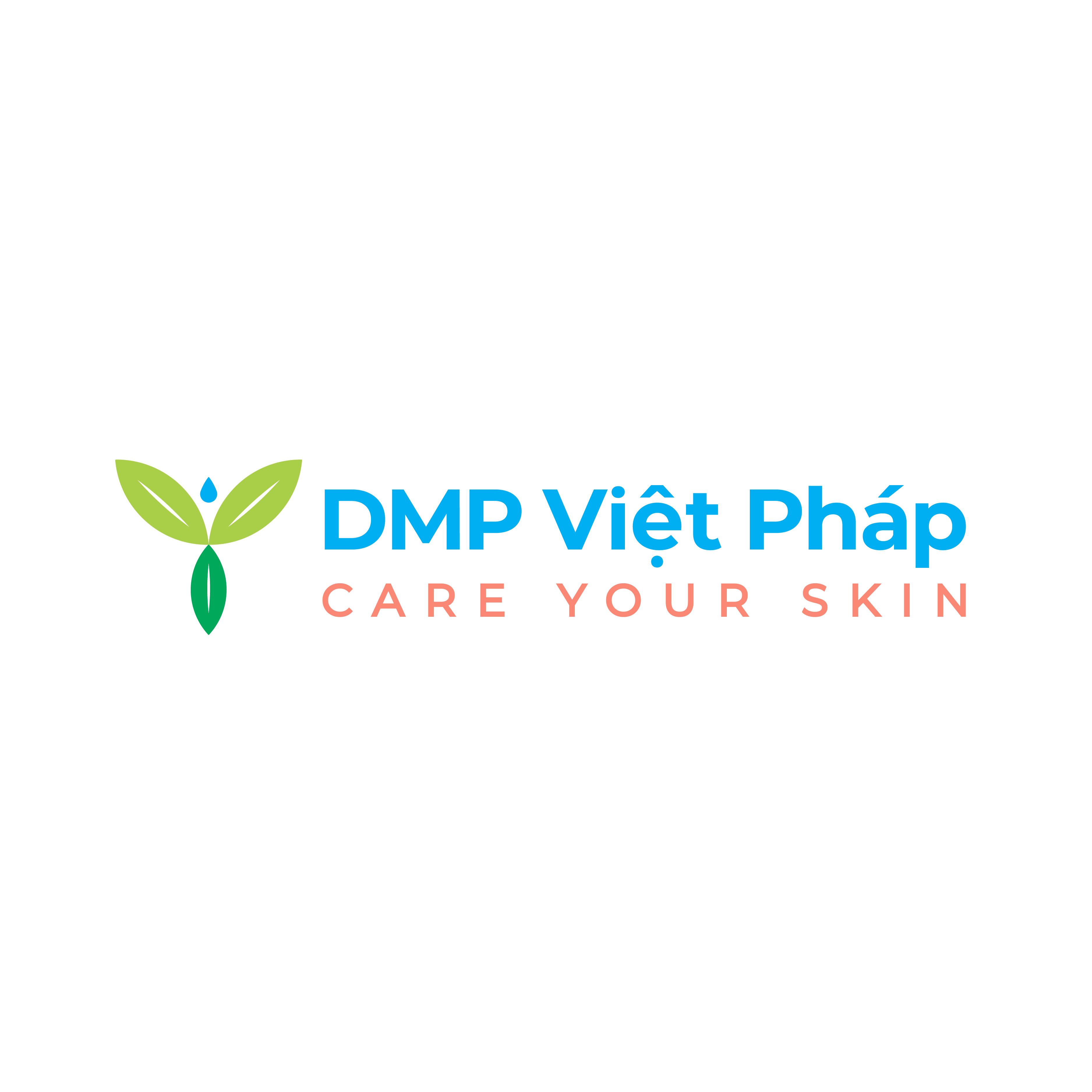 CONG TY TNHH THUONG MAI DMP VIET PHAP