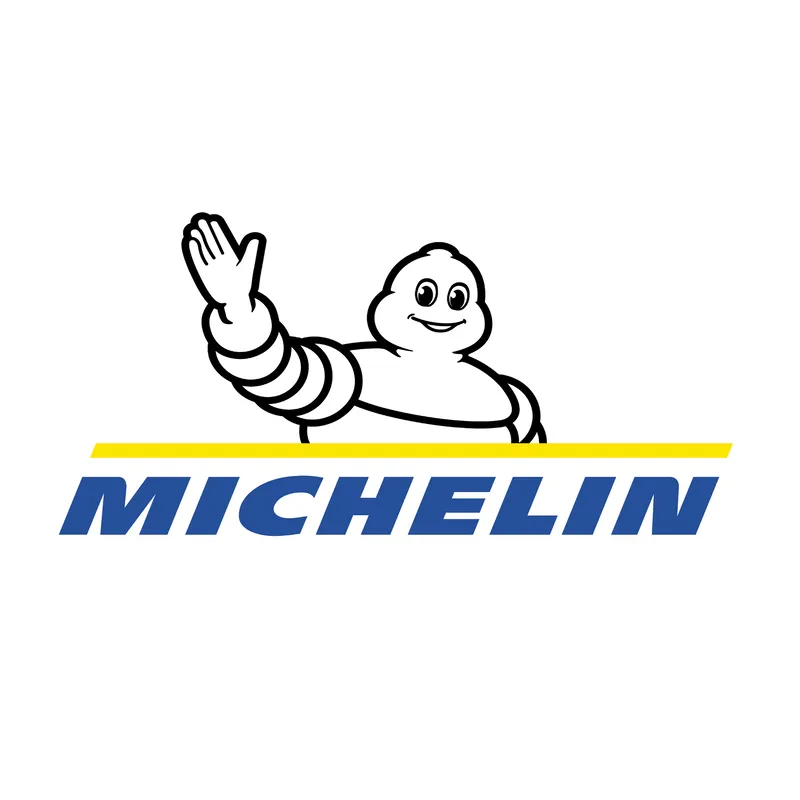 CÔNG TY TNHH MICHELIN VIỆT NAM