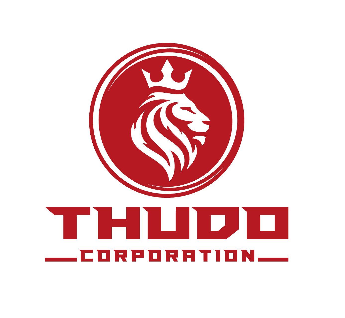 CÔNG TY CỔ PHẦN TẬP ĐOÀN THỦ ĐÔ