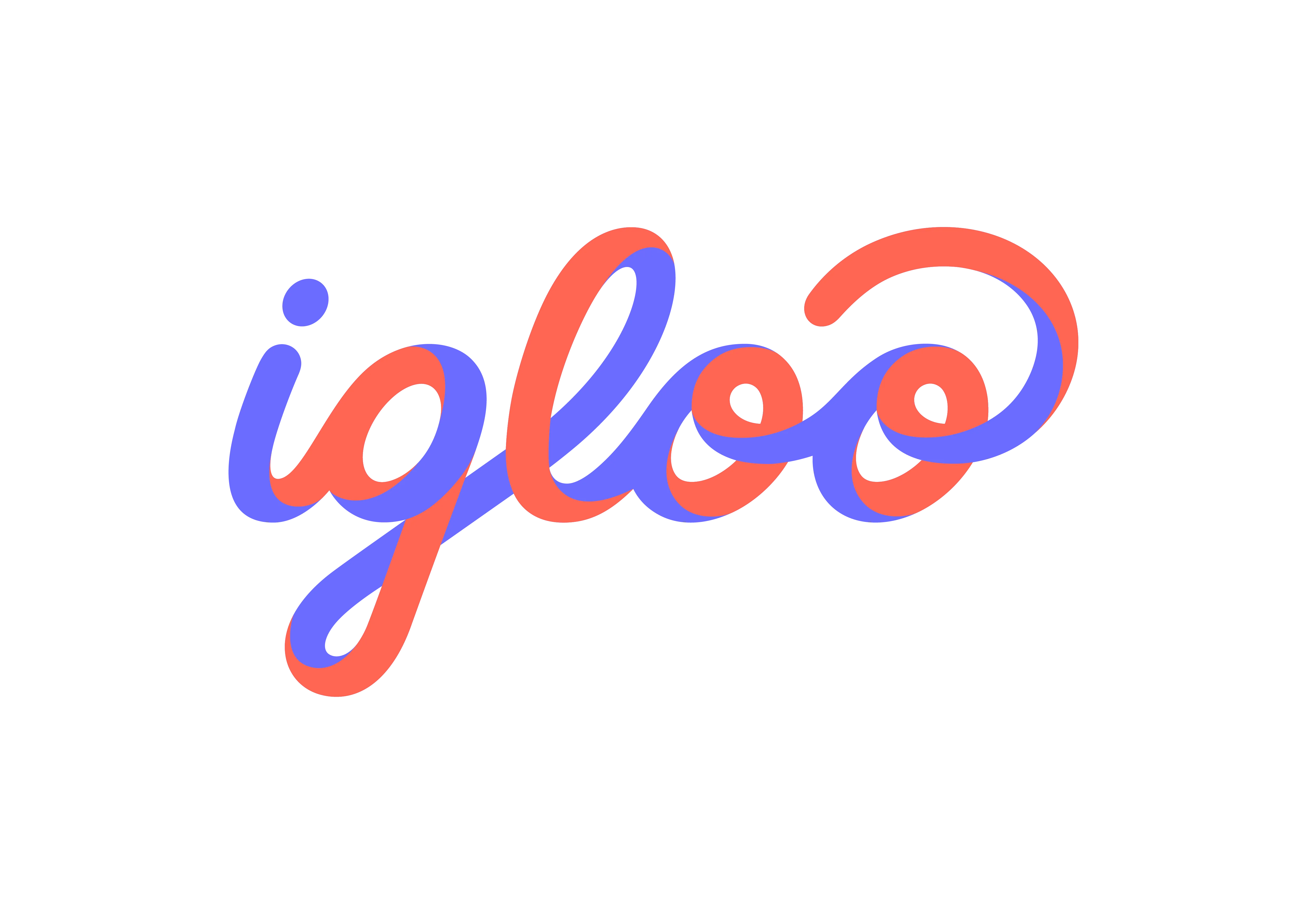 Igloo Việt Nam