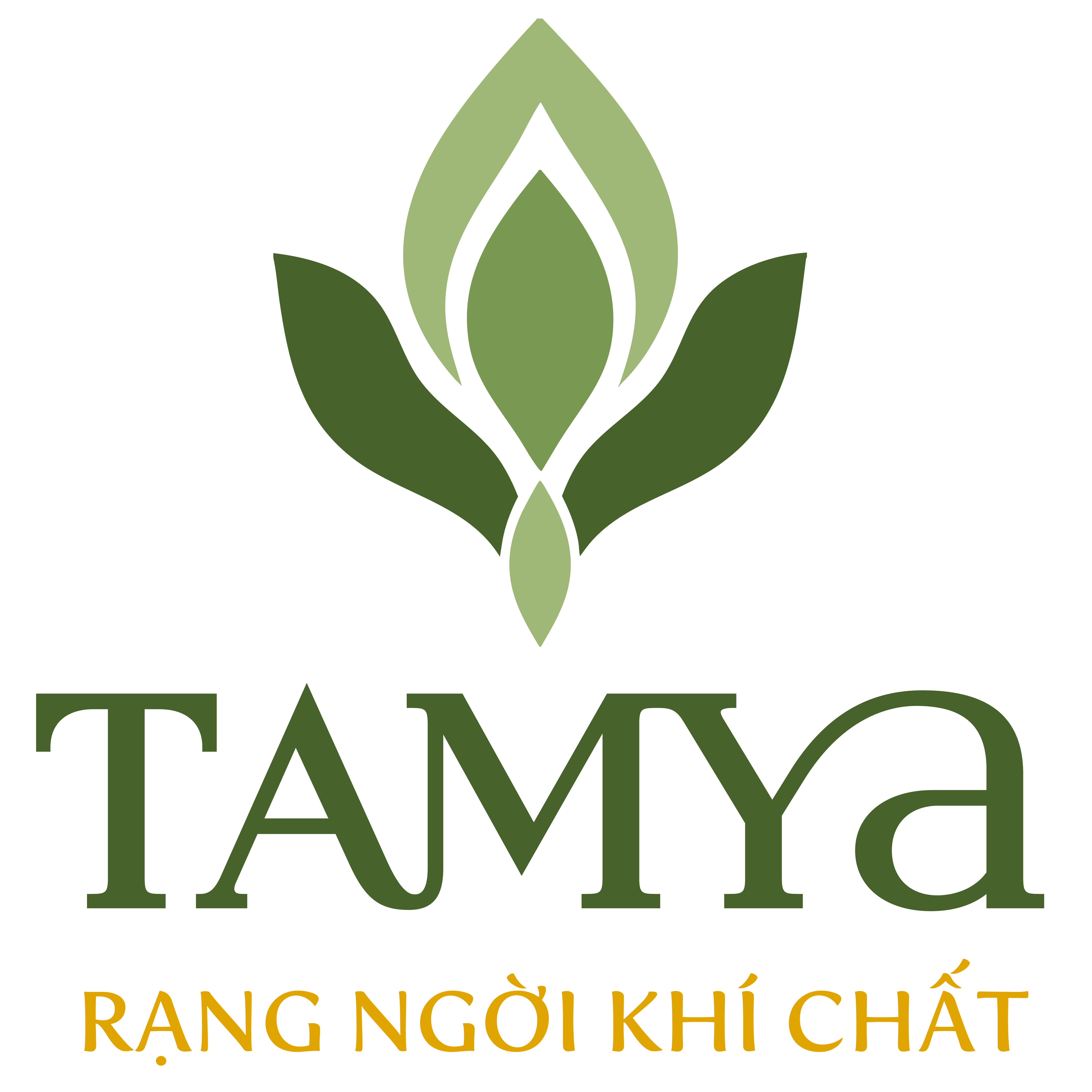 Công ty TNHH TAMYA