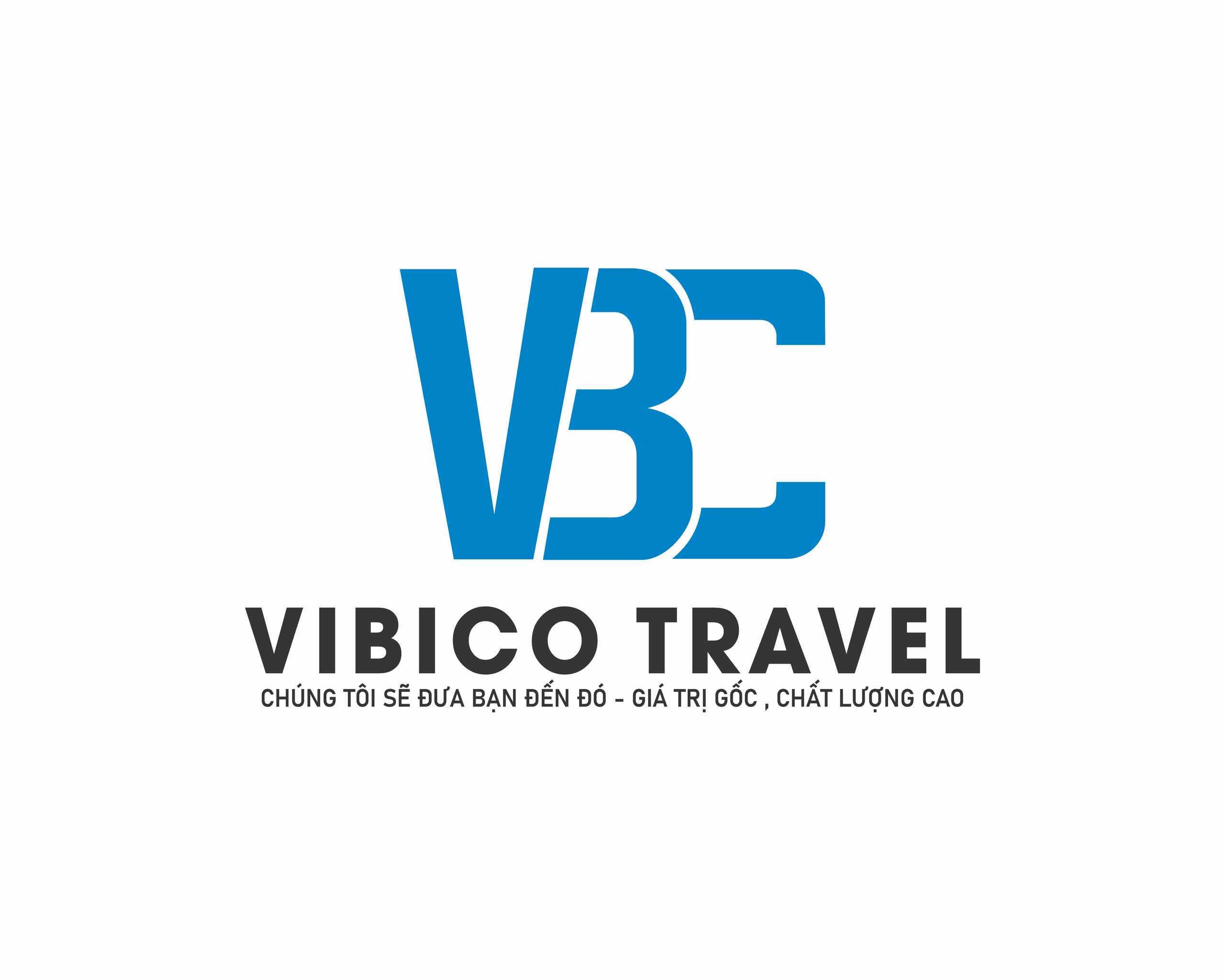 CÔNG TY CỔ PHẦN VIBICO