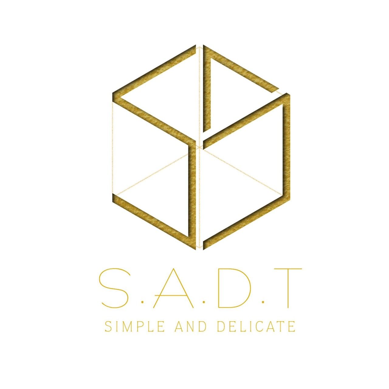 CÔNG TY TNHH TƯ VẤN THIẾT KẾ VÀ XÂY DỰNG S.A.D.T