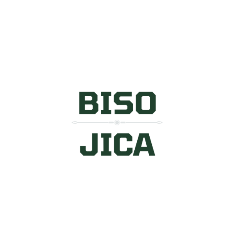 CÔNG TY TNHH BISO JICA JAPAN - VIỆT NAM