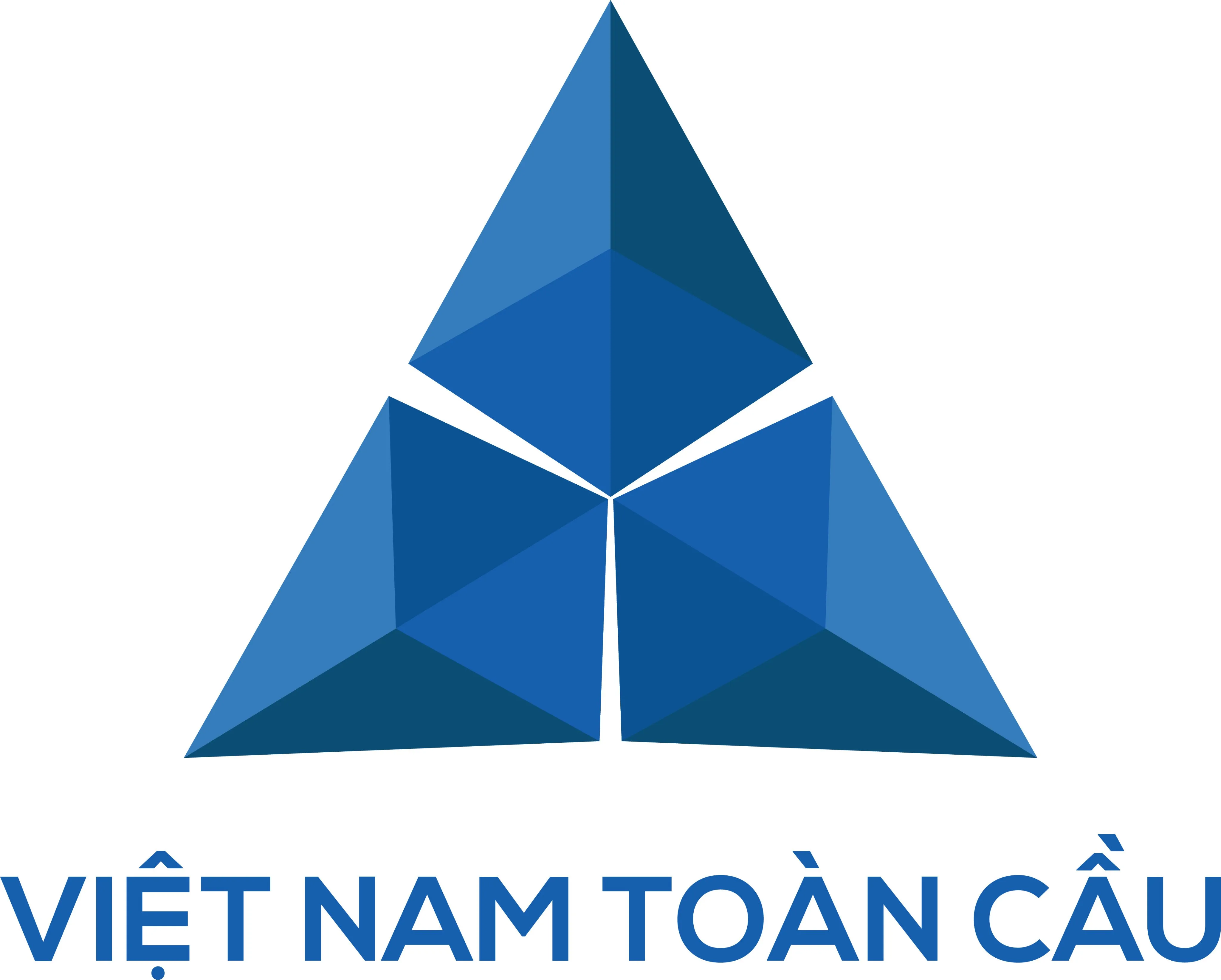 CÔNG TY CỔ PHẦN TẬP ĐOÀN VIỆT NAM TOÀN CẦU