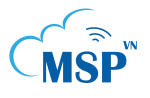 MSPVN COMPANY, LTD.