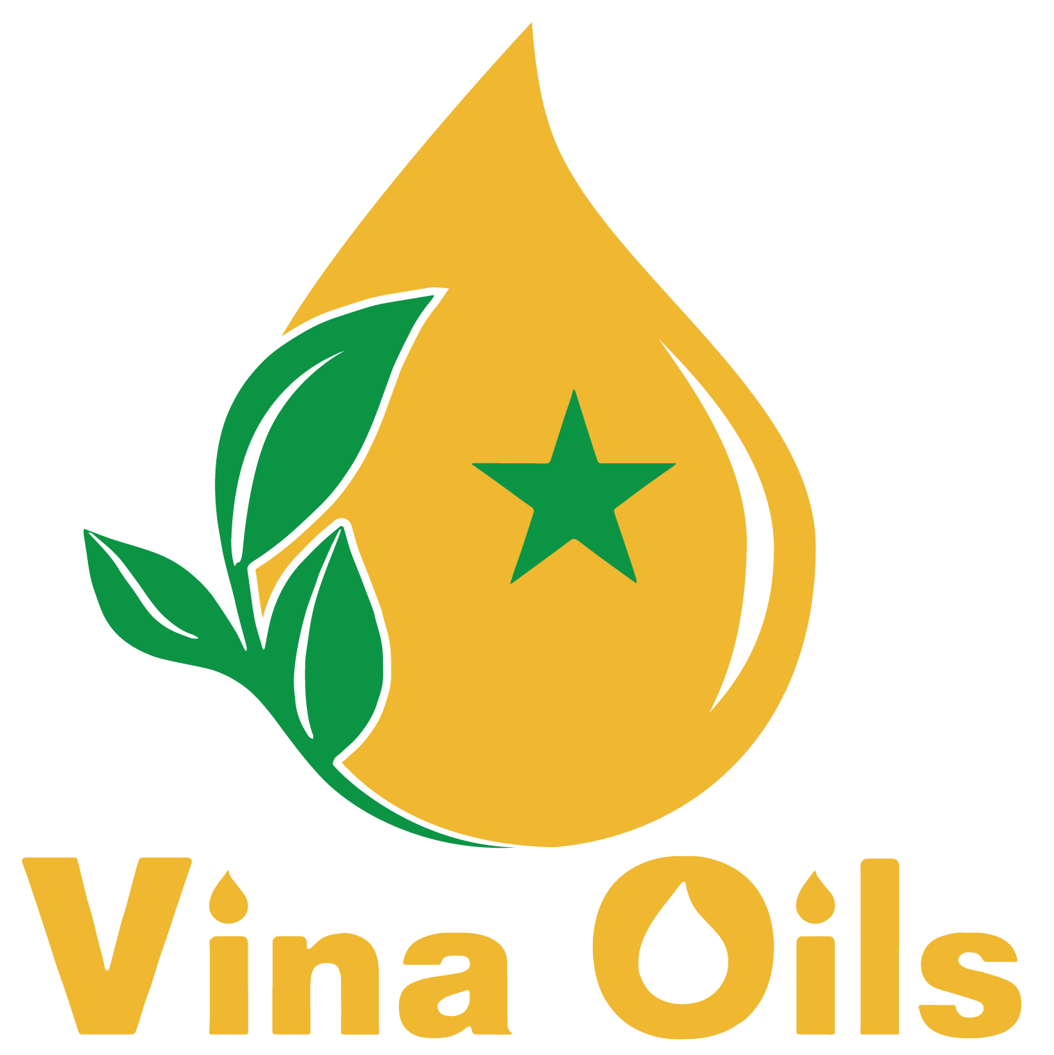 CÔNG TY CỔ PHẦN QUỐC TẾ VINA OILS