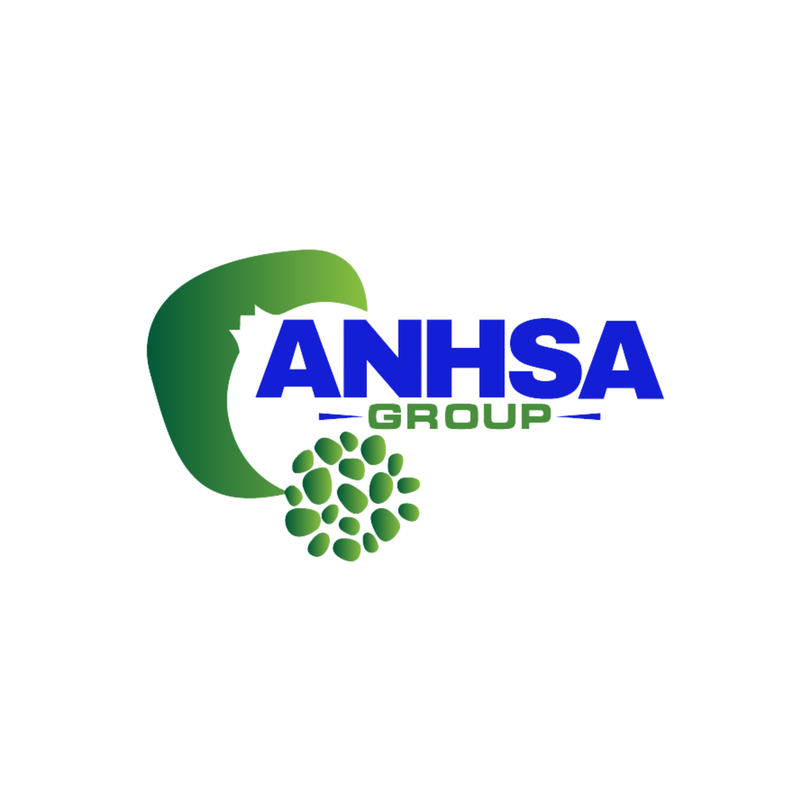 ANH SA GROUP