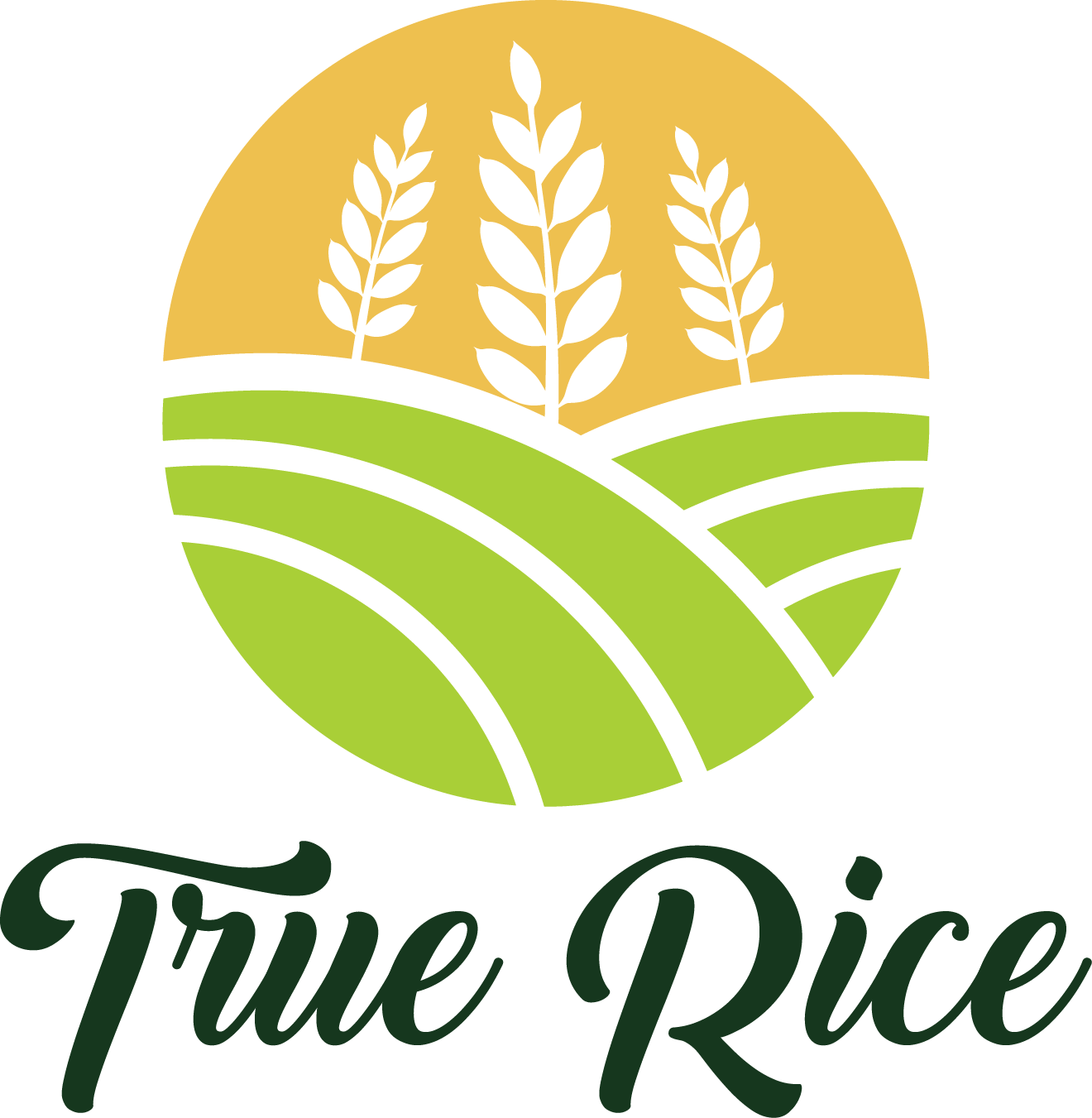 CÔNG TY CỔ PHẦN THƯƠNG MẠI TRUE RICE