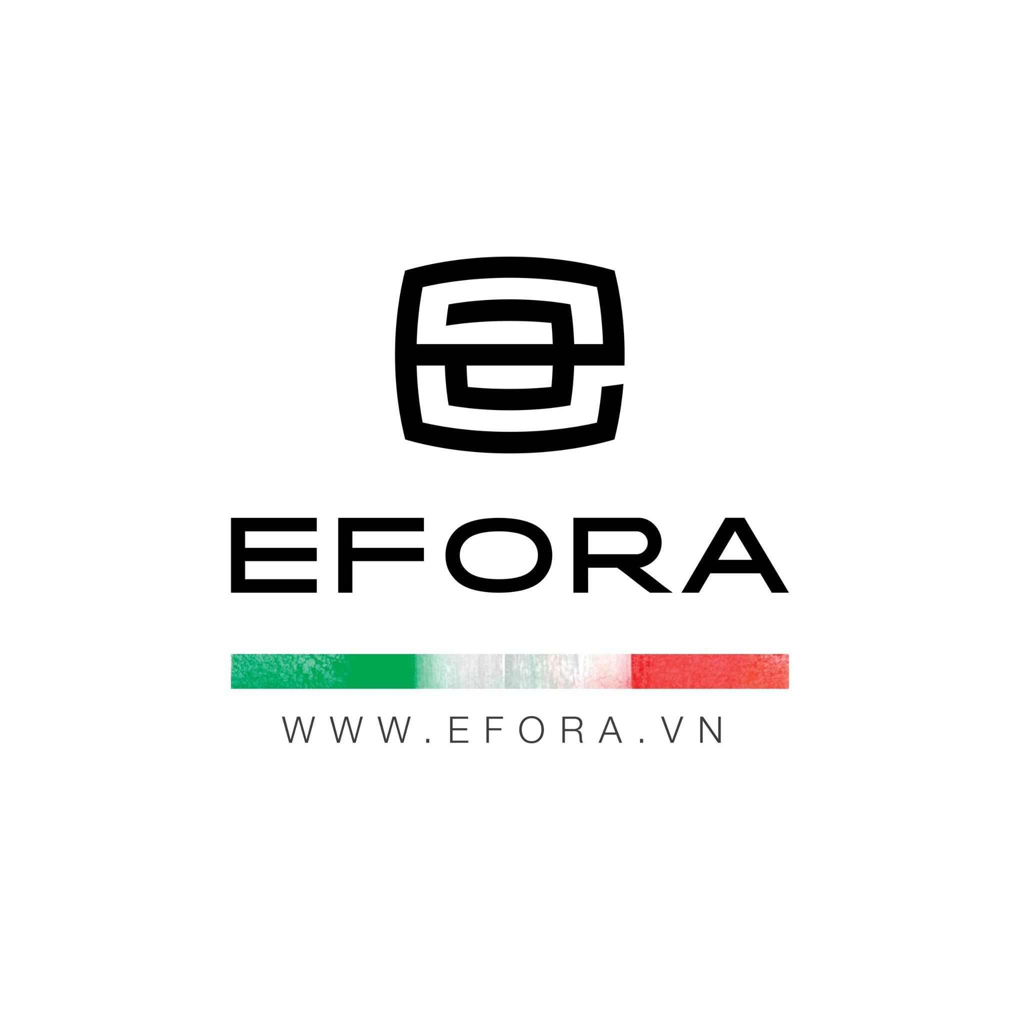 Công ty Cổ phần EFORA