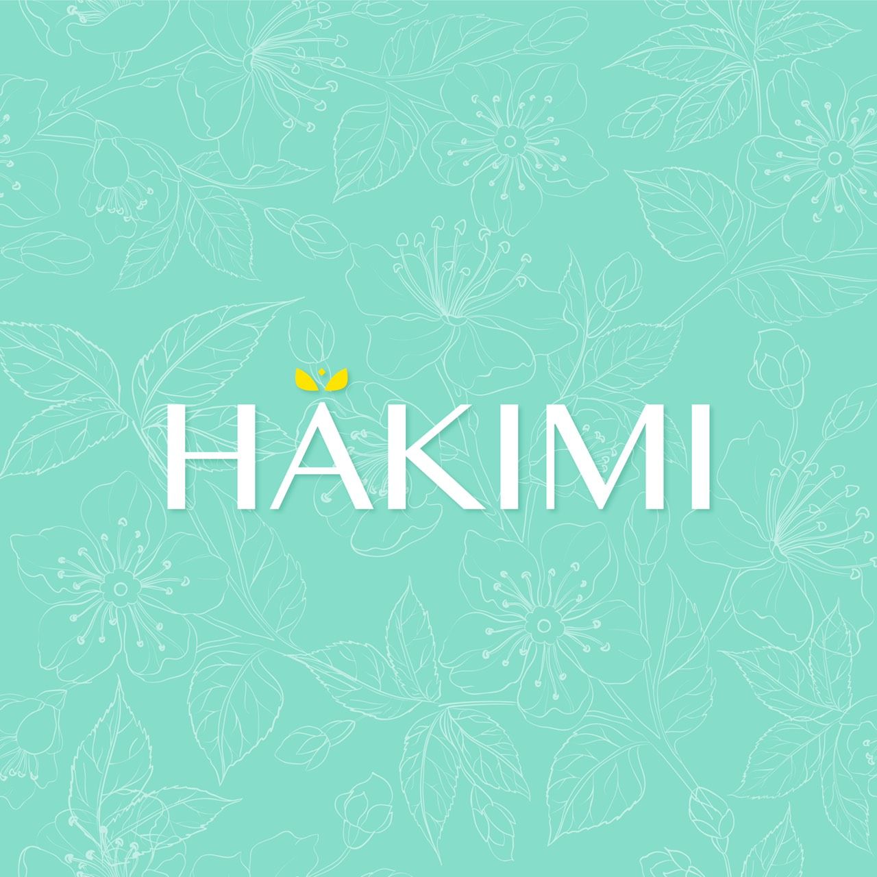CÔNG TY TNHH HAKIMI VIỆT NAM