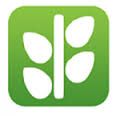 NETGROUP