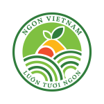 Ngon Vietnam