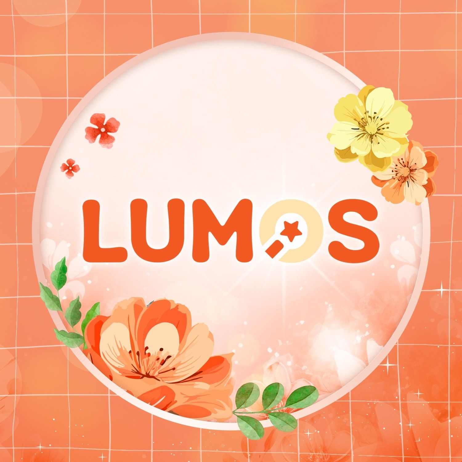 Công ty TNHH Bánh Lumos