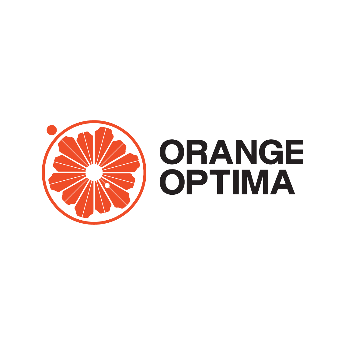 CÔNG TY TNHH GIẢI PHÁP SỐ ORANGE OPTIMA