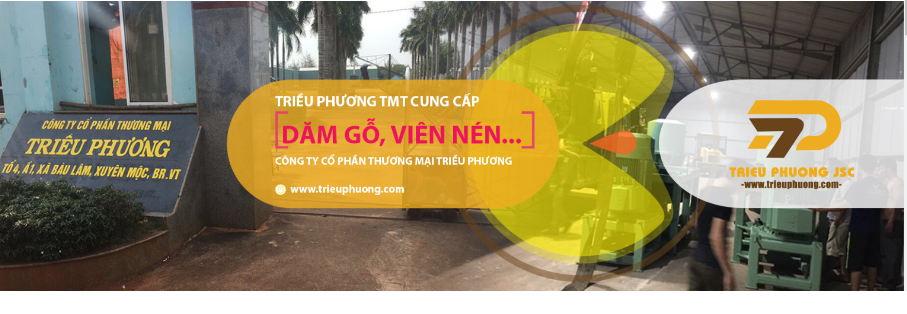 Công Ty Cổ Phần Thương Mại Triều Phương