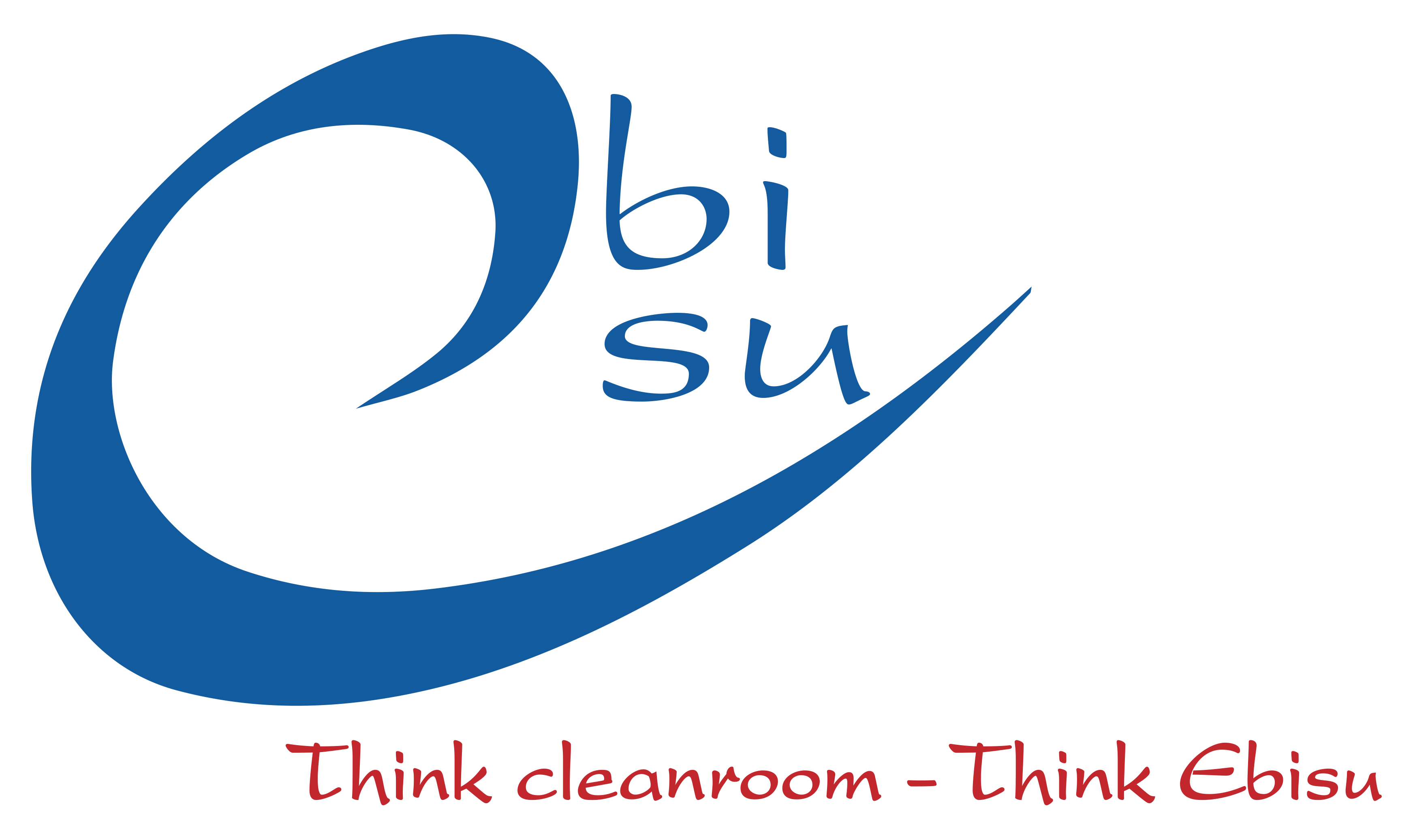 VĂN PHÒNG ĐẠI DIỆN- CÔNG TY TNHH EBISU VIỆT NAM