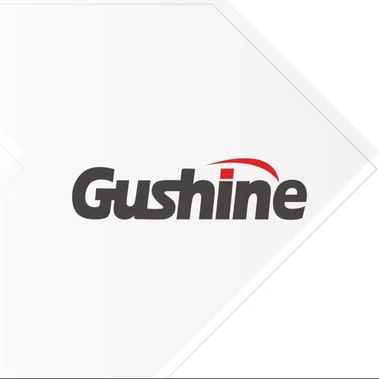 CÔNG TY TNHH ĐIỆN TỬ GUSHINE (VIỆT NAM)
